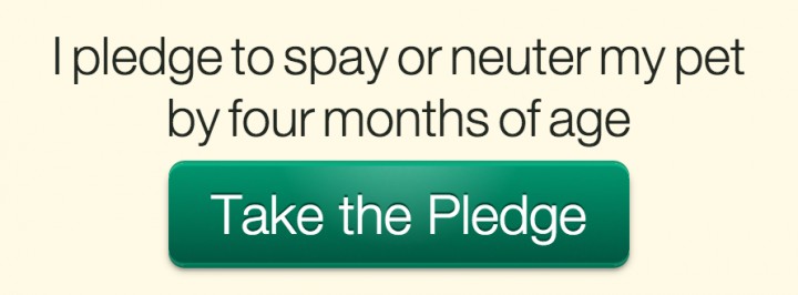 Take the Pledge