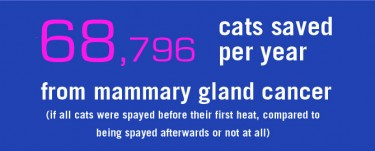 S/N Vs. Mammary Cancer