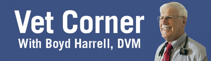 Vet Corner #3