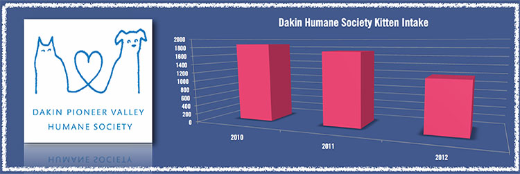 Kitten intake down at Dakin